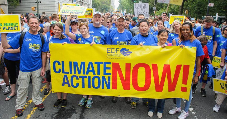 Environmental Defense Fund Criticism