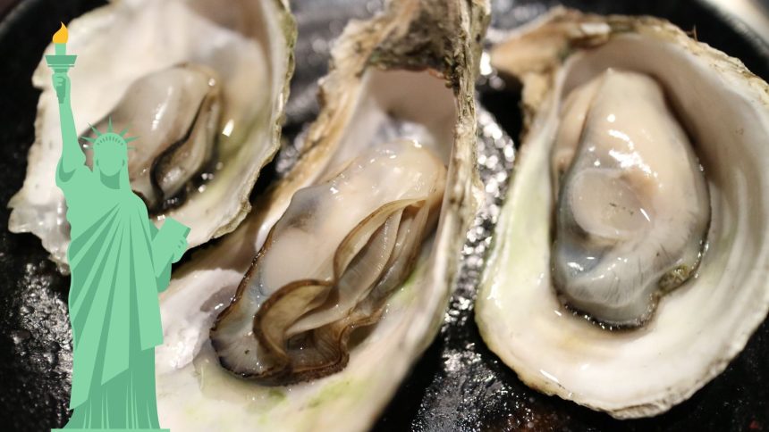 new york oyster