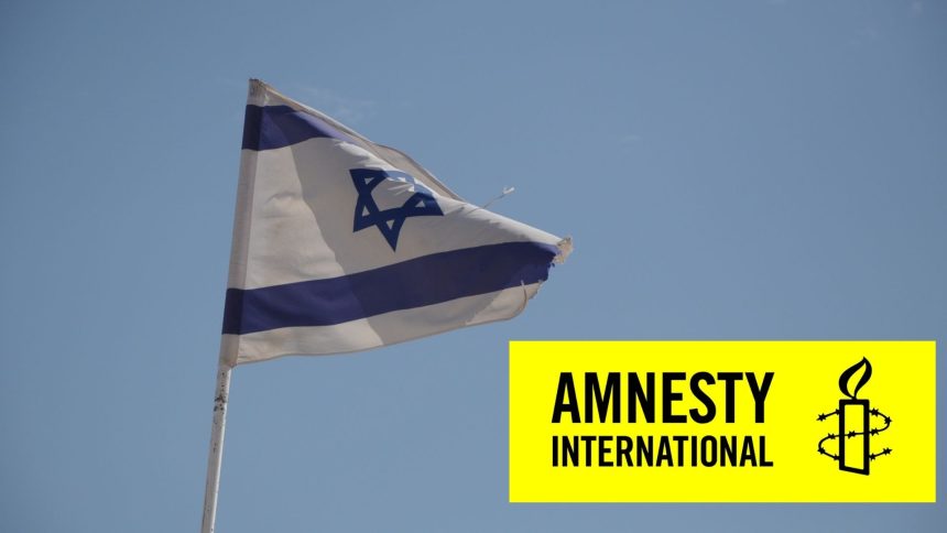 amnesty international