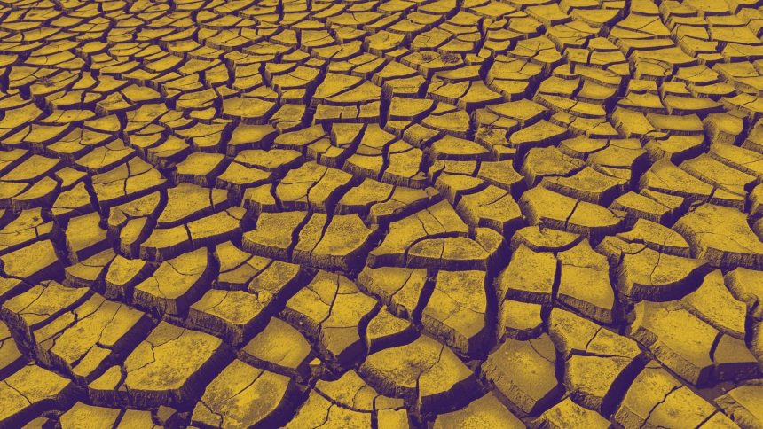 desertification